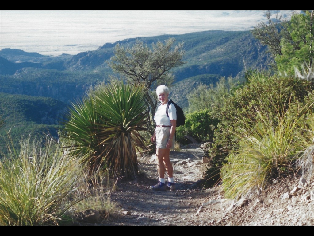 N30 Desert Vacation 95