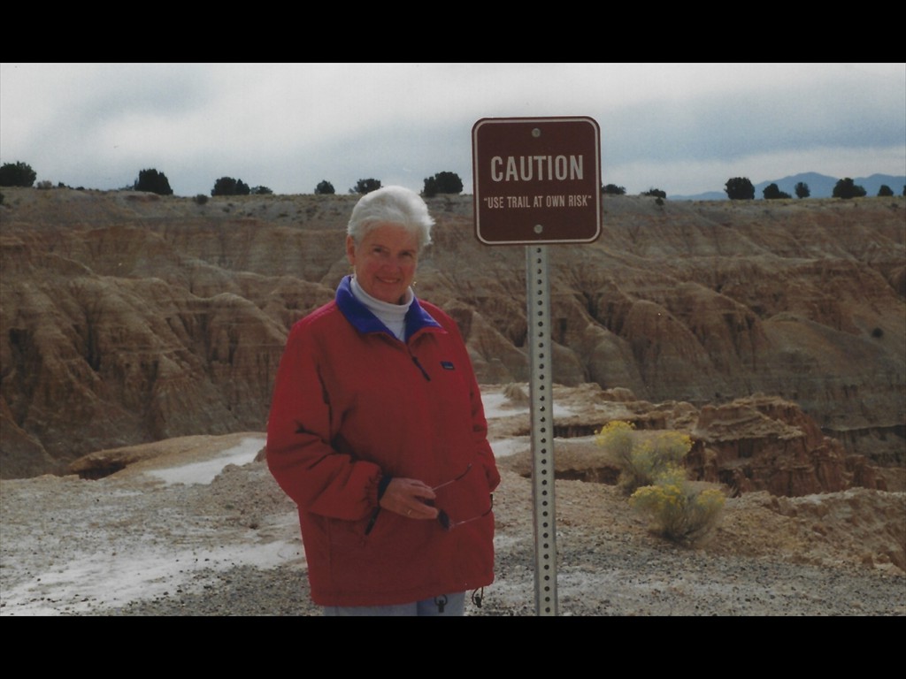 P40 Take Trail At Own Risk - Great Basin