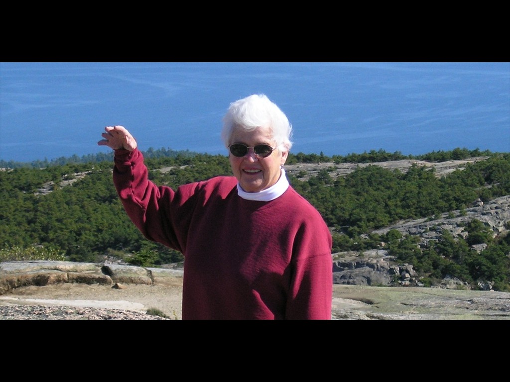 S10 Bobbi Acadia Landscape